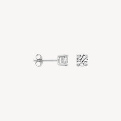 Blush Damen Ohrstecker in 14 Karat Gold in Weissgold - 7213WZI