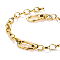charm-armband-mit-einem-connect-link-vergoldet-c1202-413-39-l19