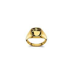 Plattenring Gold 750 matt/poliert