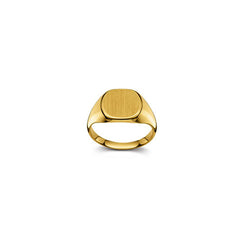 Bague plaque Or 750 mat/poli