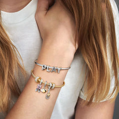 Pandora Klarer Pavé Clip: Strahlende Eleganz