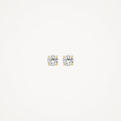 Blush Ohrhänger 7127YZI - Gelbgold (585) mit Zirkonia