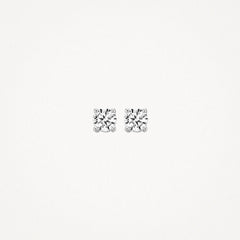 Blush Ohrstecker 7213WZI - Weissgold (585)