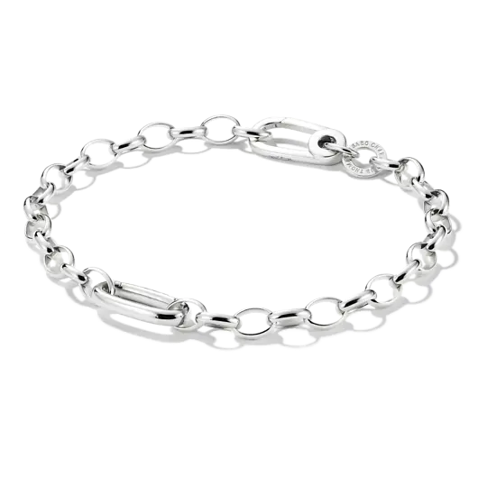 charm-armband-mit-einem-connect-link-silber-c1202-001-21-l17