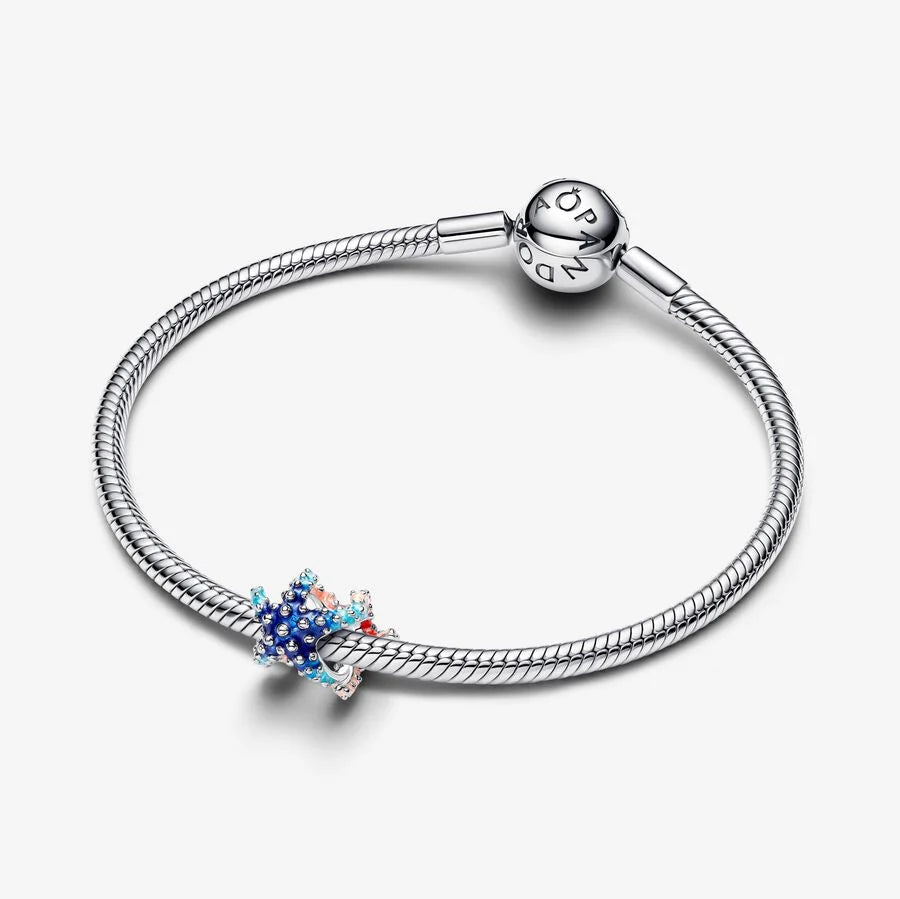Farbenfroher Seestern Mini-Charm - 793817C01