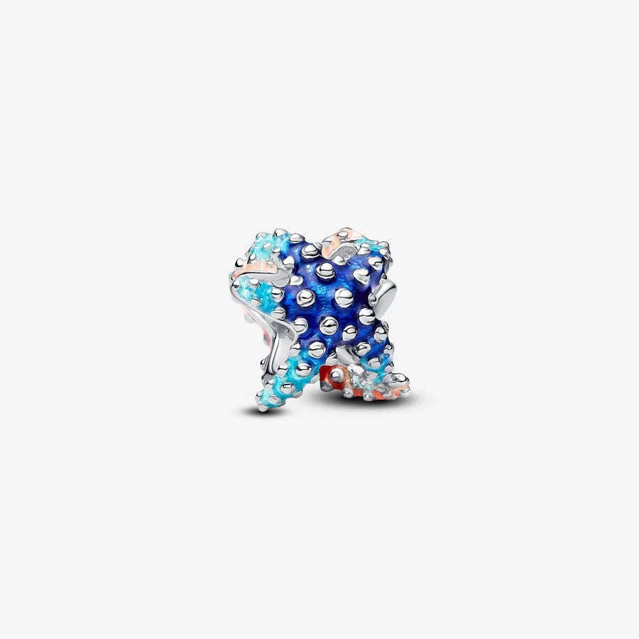 Farbenfroher Seestern Mini-Charm - 793817C01
