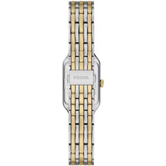 Fossil Raquel Mini Bicolor Damenuhr 18 mm – ES5468