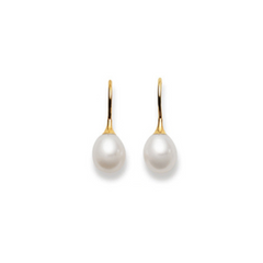 Ohrhänger in 18 Karat Weissgold, Tropfen Süsswasserperle 7.5-8 mm