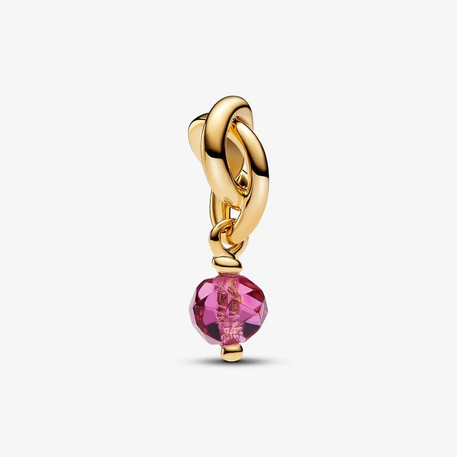 Pandora Facettierter Ewigkeitskreis Charm-Anhänger